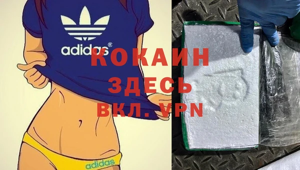 стаф Абаза