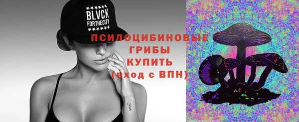 стаф Абаза