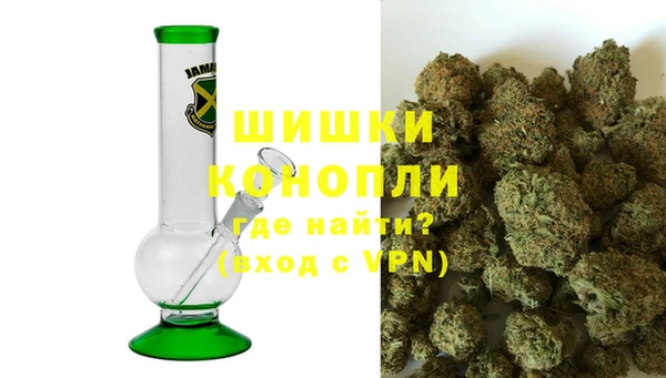 стаф Абаза