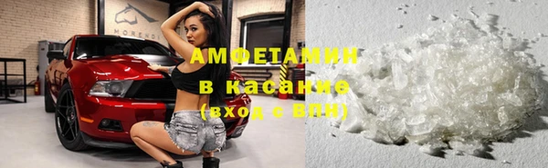 стаф Абаза