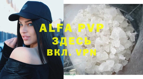 стаф Абаза