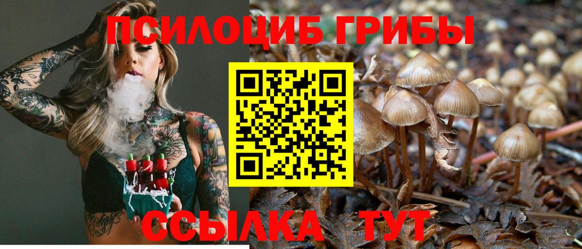 Галлюциногенные грибы мицелий Барнаул
